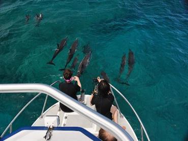 popular tours