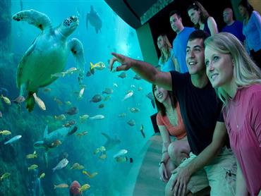Hurghada Grand Aquarium 